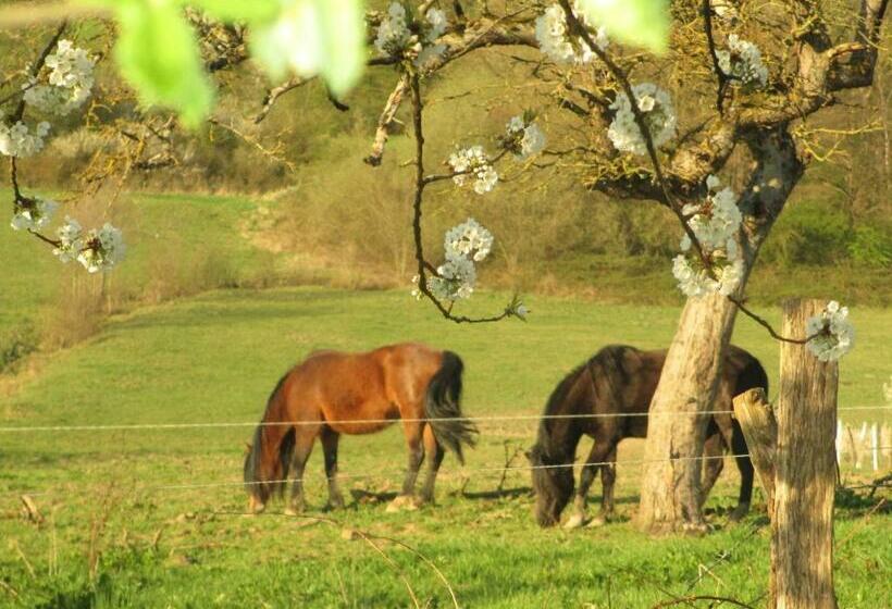 ホテル La Ferme De Werpin