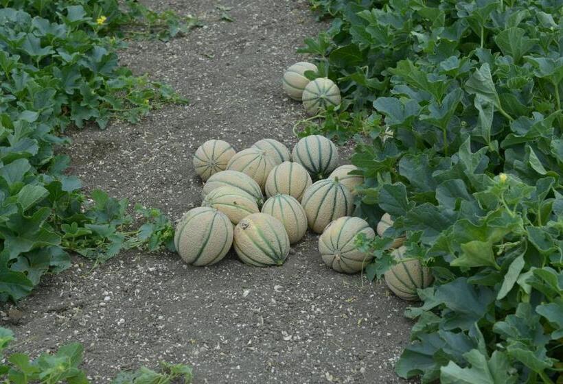 Hotel Nato Contadino