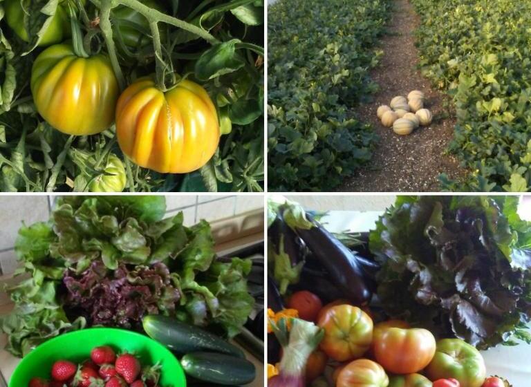 Hotel Nato Contadino