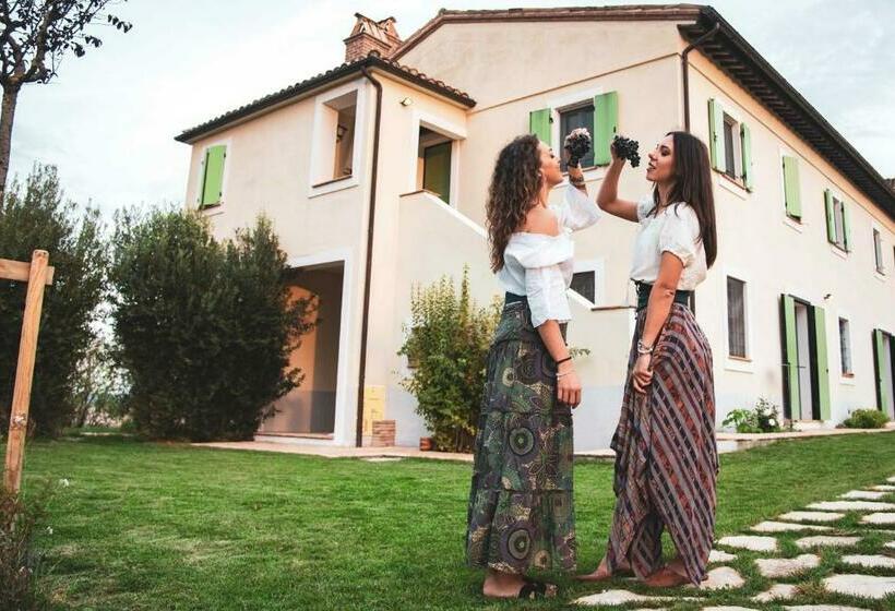 Recchi Franceschini Bike Hotel Last   Minute   Availability