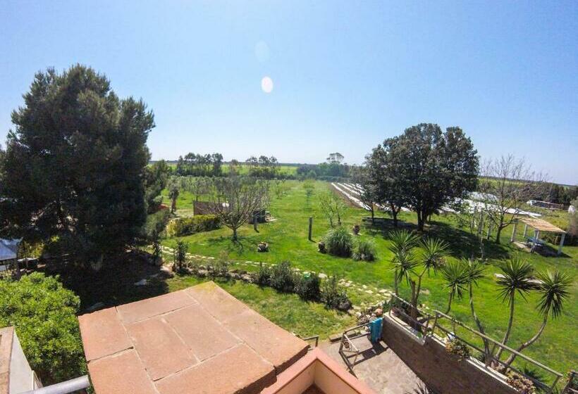 בית מלון כפרי Villa Enli