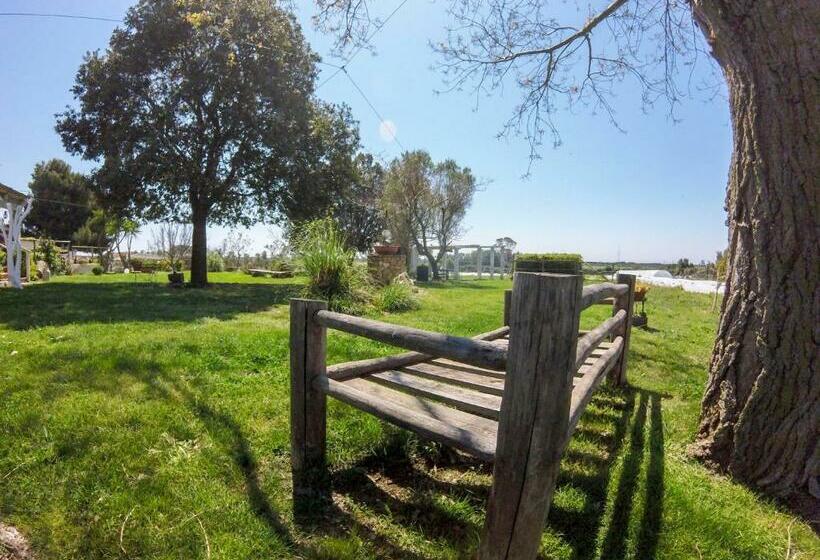 בית מלון כפרי Villa Enli