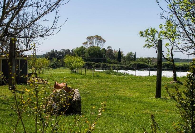 בית מלון כפרי Villa Enli