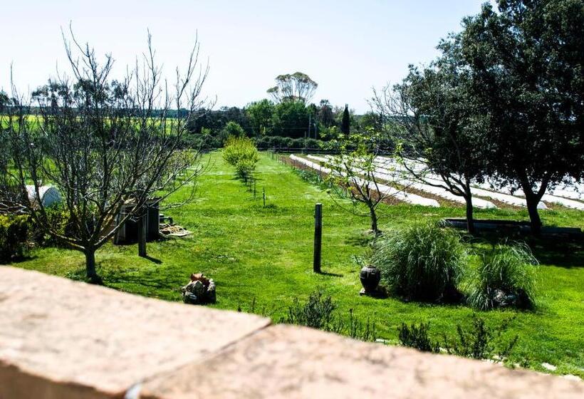 בית מלון כפרי Villa Enli