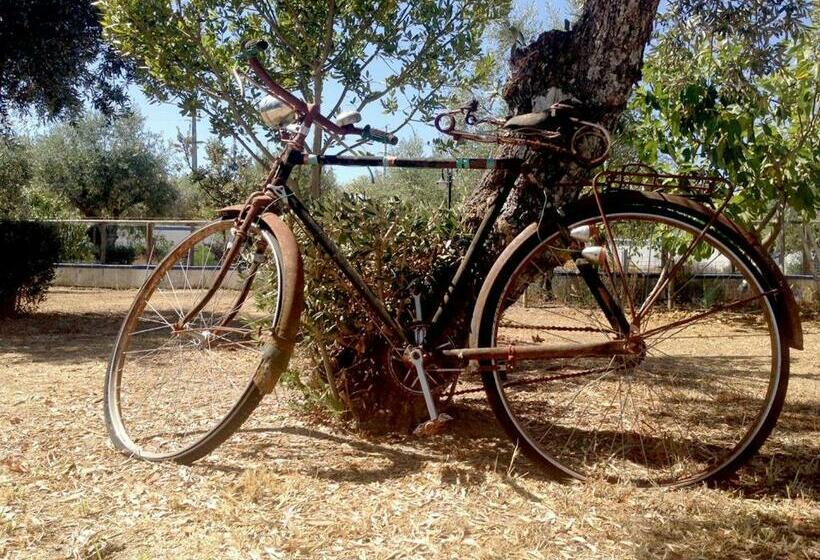 ペンション A Palhota