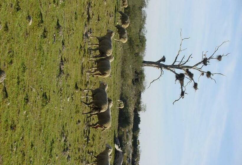 ペンション A Palhota