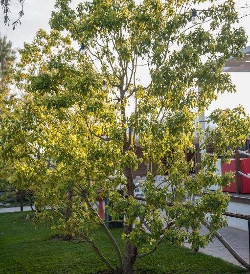 펜션 Agriturismo Il Casale