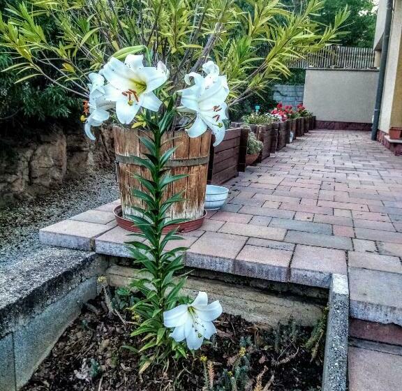 Пансион Aqua Apartman