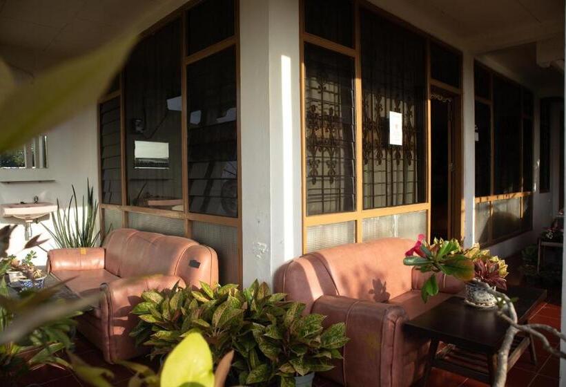 Пансион Bamboosa