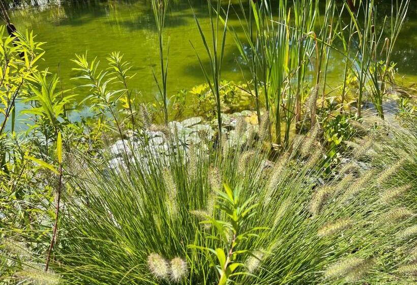 بنسيون Ferienwohnung Landhaus Hohenstein, Schwimmteich, Ruhige Lage