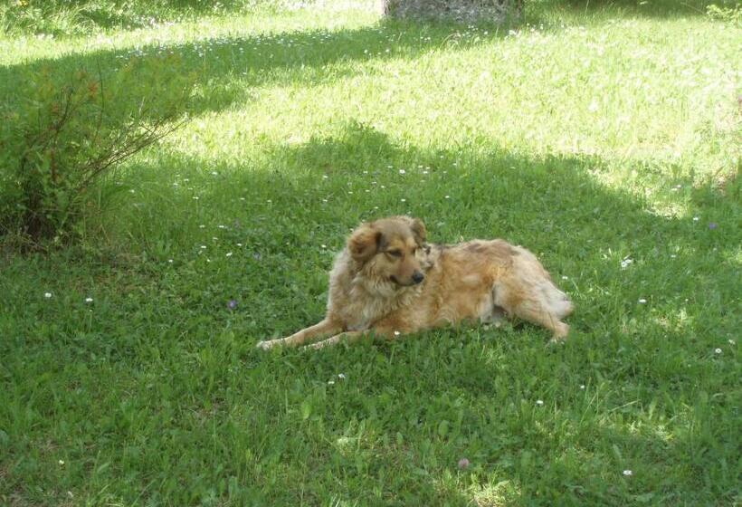 膳宿费 Gästehaus Lienharterhof