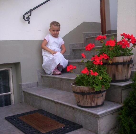 膳宿费 Gästehaus Lienharterhof