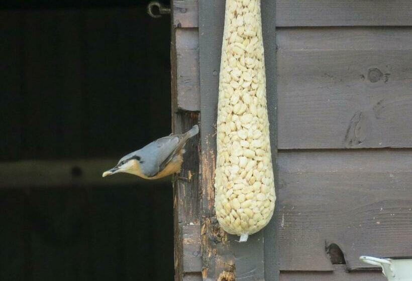 펜션 Haus Bergblick