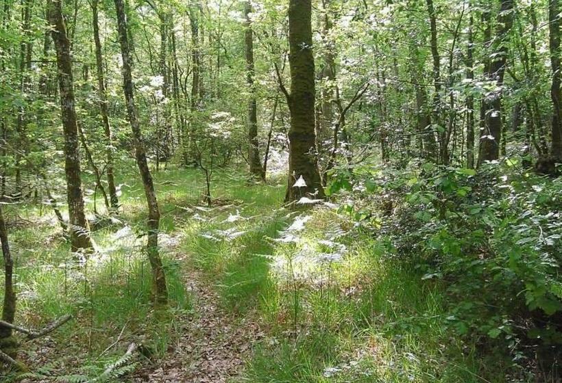פנסיון Manoir Du Tertre Au Coeur De La Forêt De Brocéliande