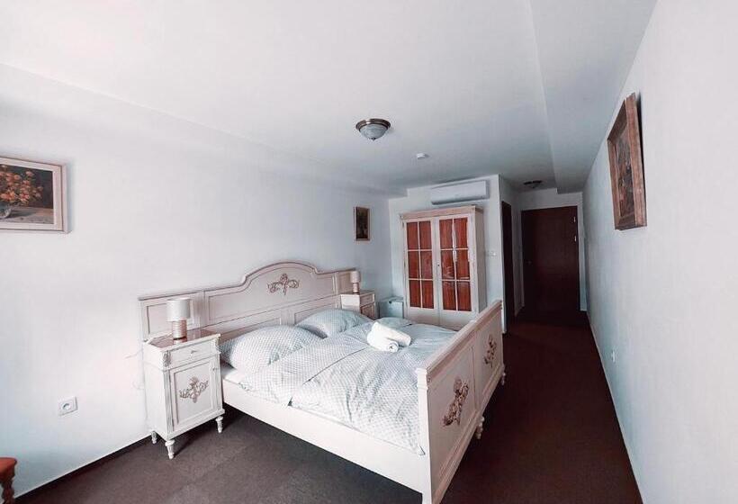 펜션 Penzion U Jindry