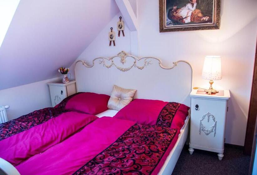 펜션 Penzion U Jindry