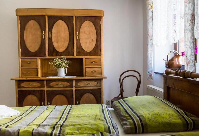 펜션 Penzion U Jindry