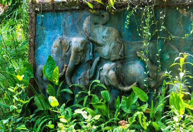 بنسيون Sang Tong Huts