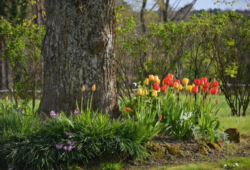 بنسيون Tartigousse