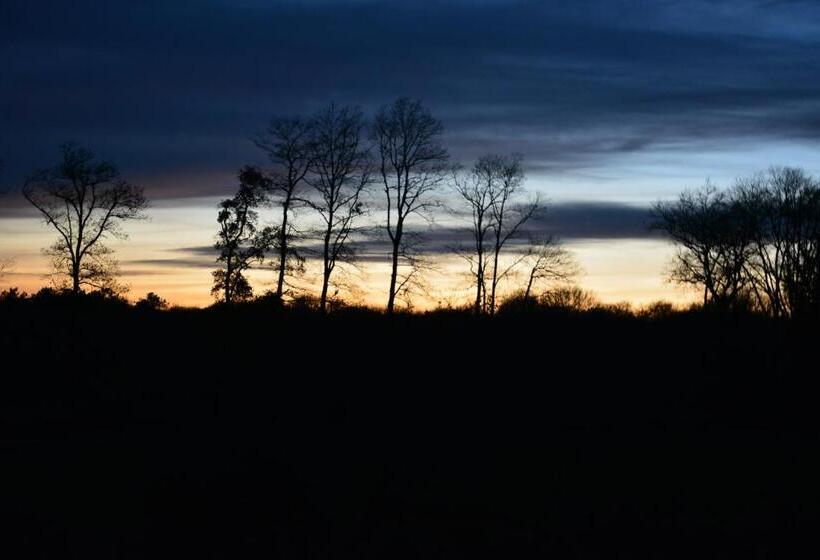 بنسيون Tartigousse