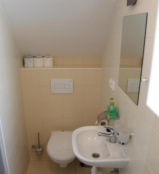 פנסיון Vila Aneta