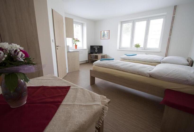 פנסיון Vila Aneta