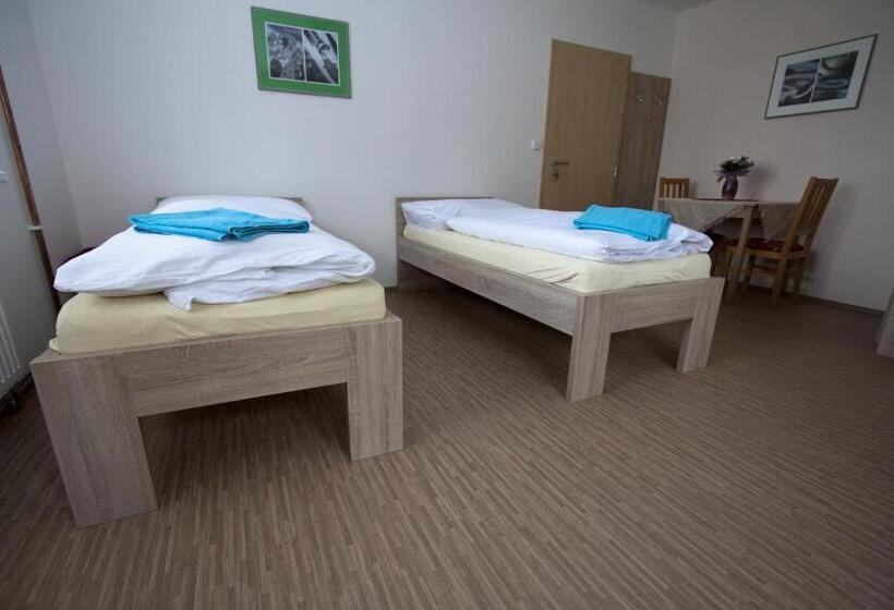 פנסיון Vila Aneta