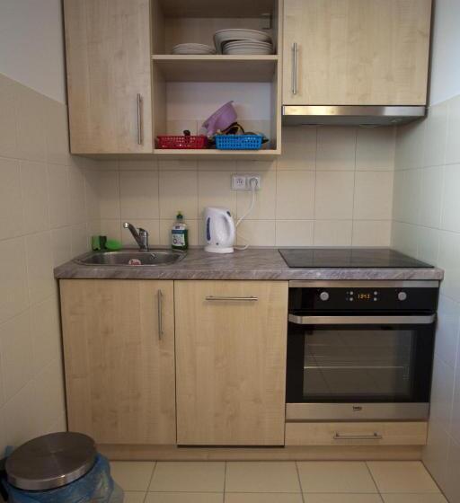 פנסיון Vila Aneta