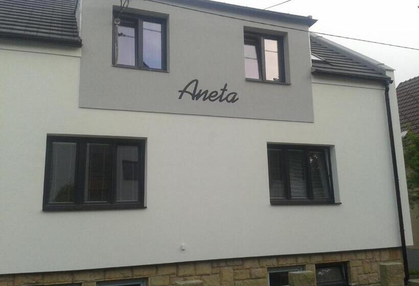 膳宿费 Vila Aneta