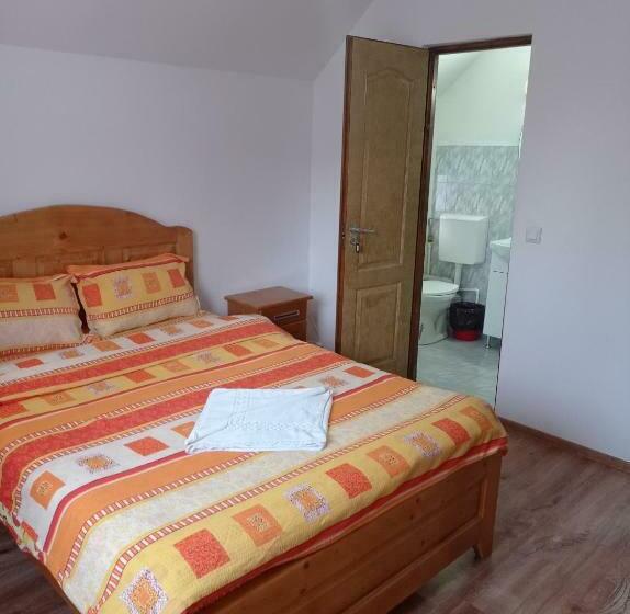 פנסיון Vila Bucovina