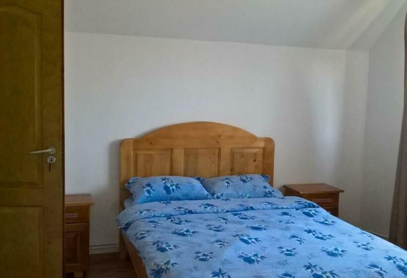 פנסיון Vila Bucovina