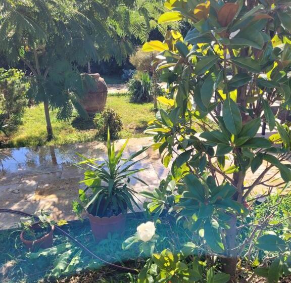 Пансион Vila Caviar