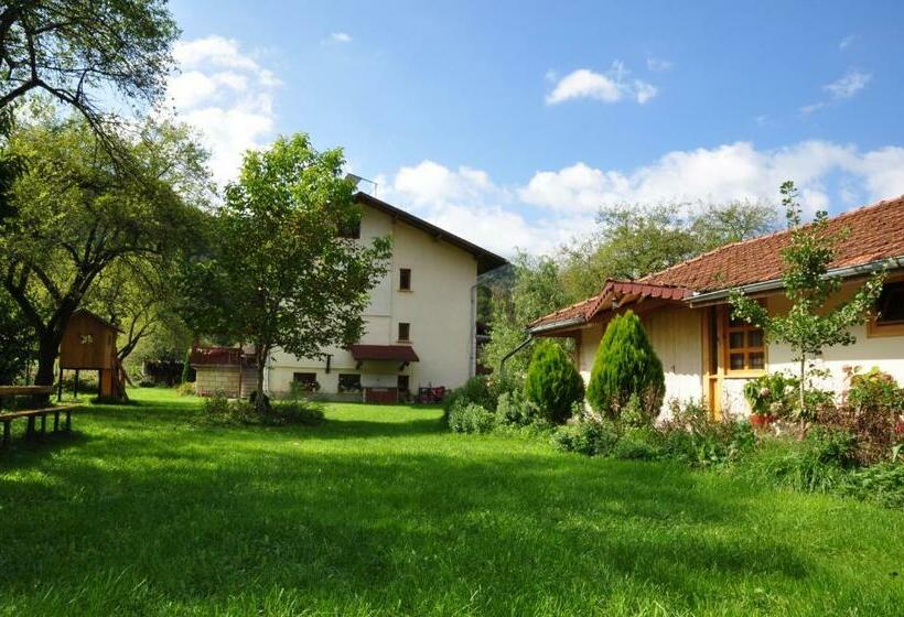 פנסיון Villa Don Maro