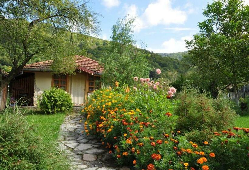 פנסיון Villa Don Maro