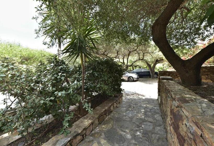 پانسیون Villa Minda Lodge & View