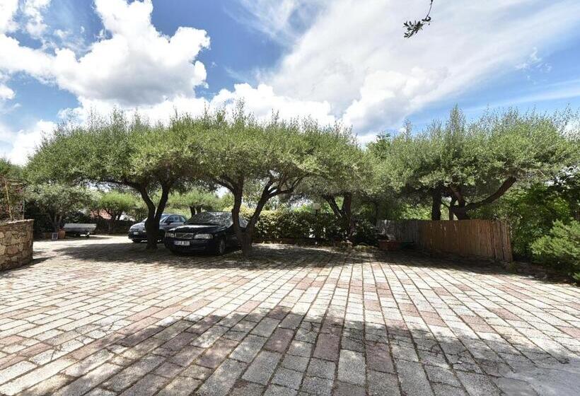 پانسیون Villa Minda Lodge & View