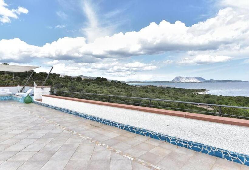 پانسیون Villa Minda Lodge & View