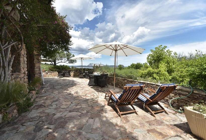 پانسیون Villa Minda Lodge & View