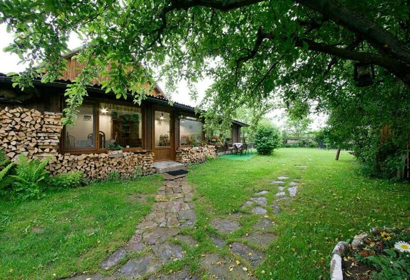 Pensiunea Casa Bianca   Bucovina