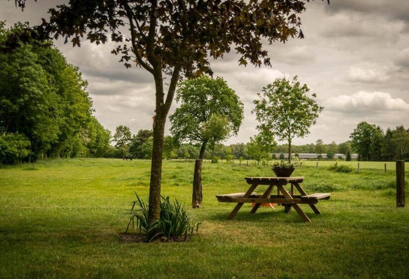 Thil S Bed And Breakfast