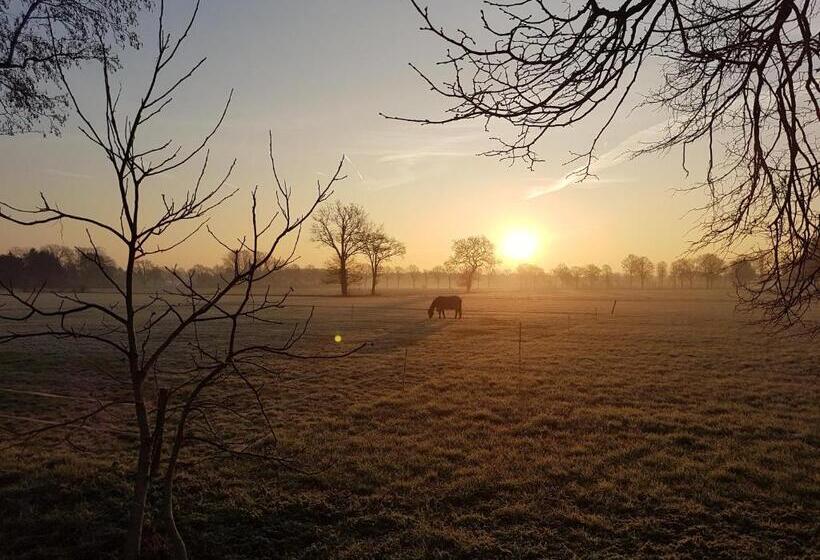 Thil S Bed And Breakfast