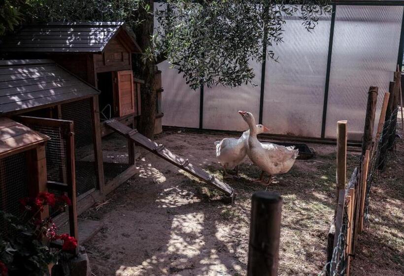 B&b Al Vecchio Forno