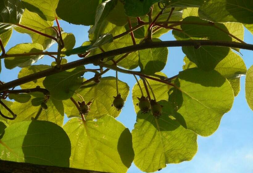 住宿加早餐  38 Friaudour