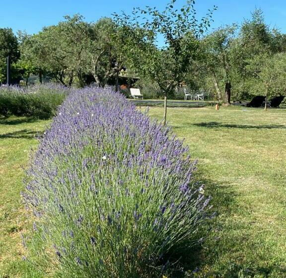 צימר Agriturismo La Cervaiola Piccola Dimora Di Campagna