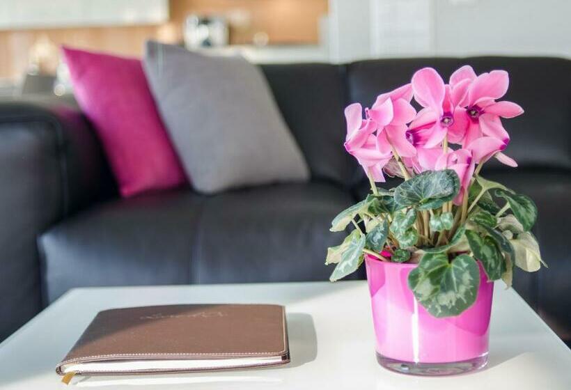 Bed & Breakfast Bnb Le Haut Des Vignes