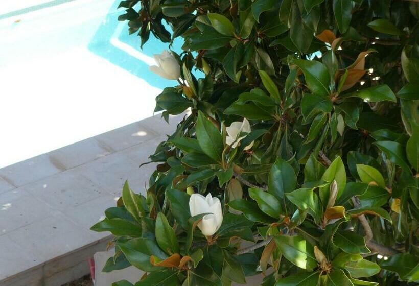 مبيت وإفطار Clos Du Magnolia