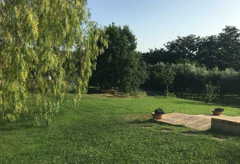 Bed and Breakfast Corbezzolo