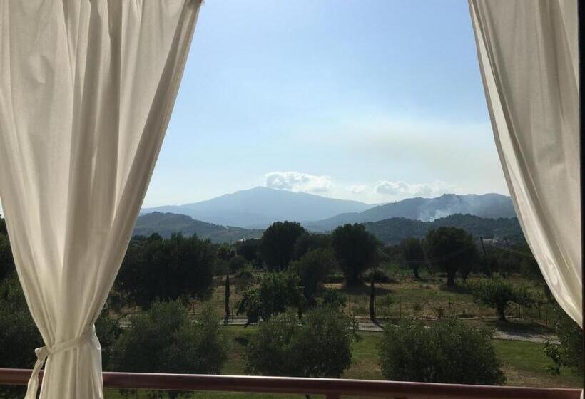 Bed and Breakfast Corbezzolo