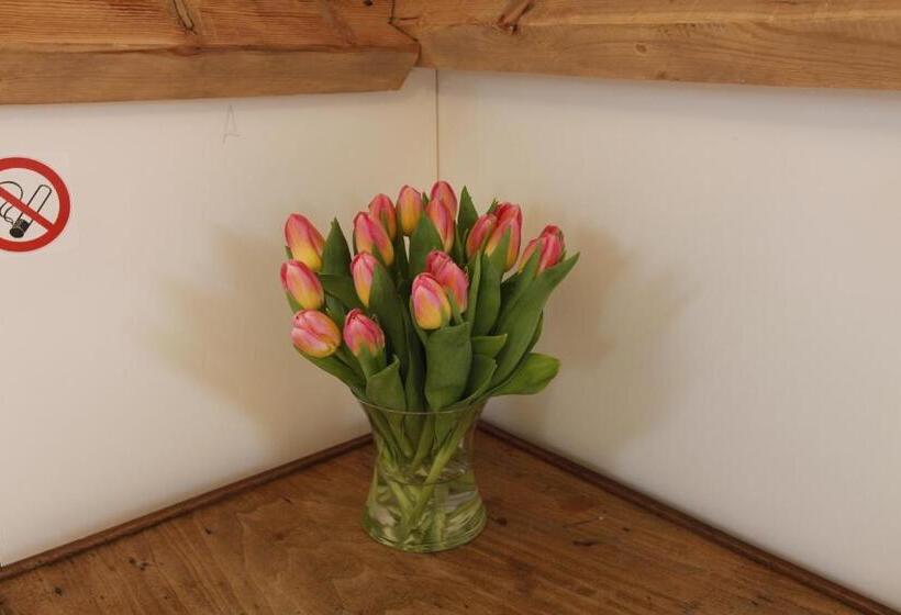 민박 De Sneppelhoeve