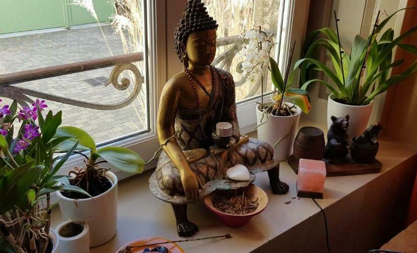 Bed and Breakfast La Chouette Maison Chambres D Hôtes Et Gîte En Ville